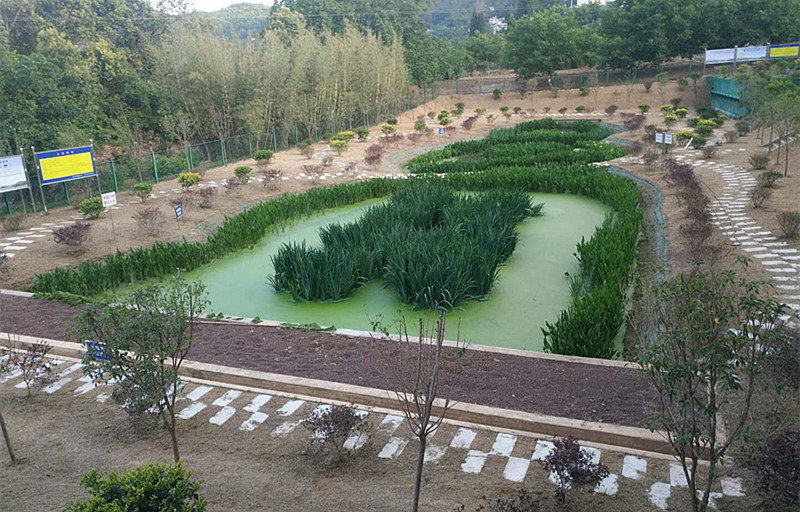 2017年度小灣電站庫區生態環境保護蕨菜村建設項目（二期）